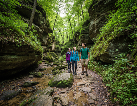 Parfrey’s Glen Trail